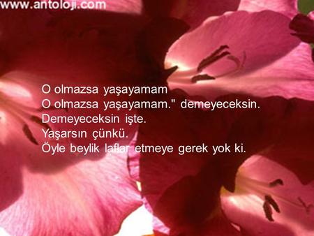 O olmazsa yaşayamam O olmazsa yaşayamam.  demeyeceksin