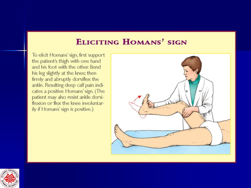 Elicit перевод