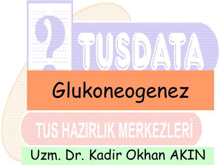 Glukoneogenez Uzm. Dr. Kadir Okhan AKIN.