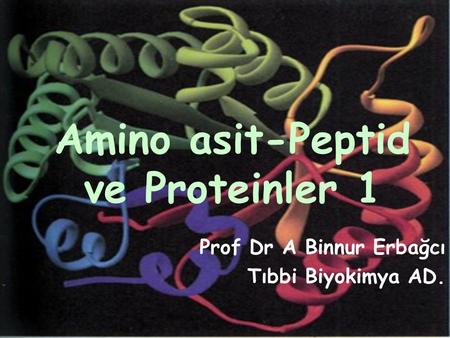 Amino asit-Peptid ve Proteinler 1