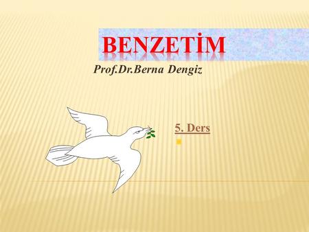 BENZETİM Prof.Dr.Berna Dengiz 5. Ders.