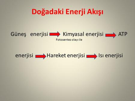Doğadaki Enerji Akışı Güneş enerjisi Kimyasal enerjisi ATP Fotosentez olayı ile enerjisi Hareket enerjisi Isı.