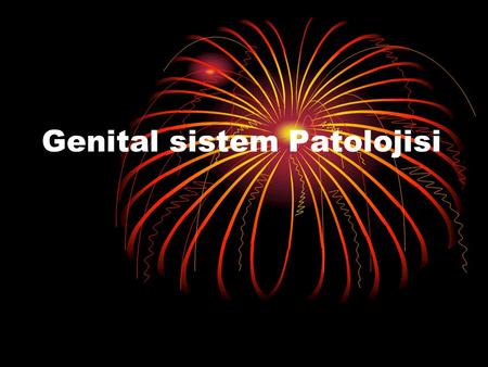 Genital sistem Patolojisi