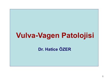 Vulva-Vagen Patolojisi