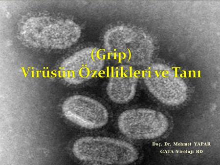 (Grip) Virüsün Özellikleri ve Tanı