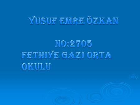 Yusuf Emre Özkan No:2705 Fethiye Gazi Orta Okulu