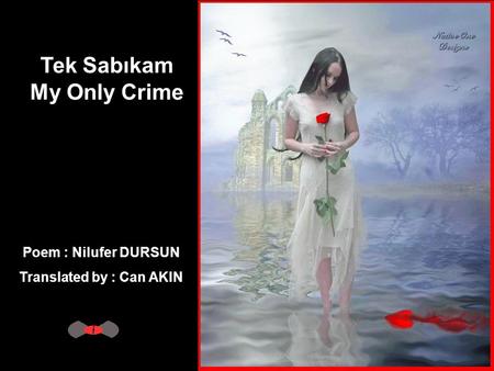 Tek Sabıkam My Only Crime Poem : Nilufer DURSUN Translated by : Can AKIN.