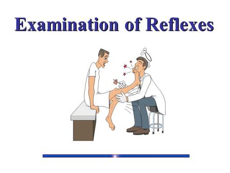 Examination of Reflexes. Reflexes Spinal cord reflexes represent the most basic of motor responses. These reflexes are carried out entirely within the.