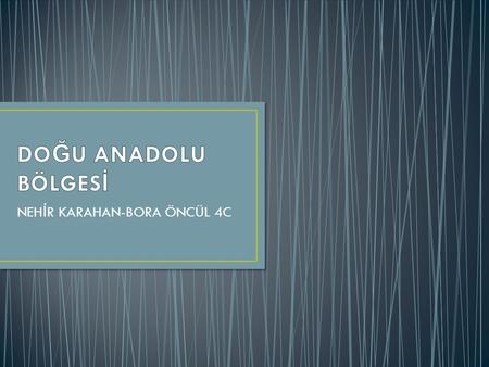 NEH İ R KARAHAN-BORA ÖNCÜL 4C. Do ğ u Anadolu Bölgesi Türkiyenin en büyük yüzölçüme, en fazla yükseltiye ve en engebeli yapıya sahip olan bölgesidir.Cilo.