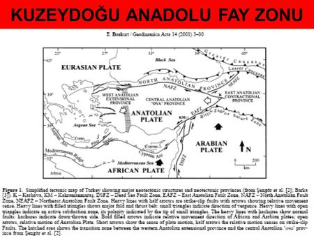 KUZEYDOĞU ANADOLU FAY ZONU