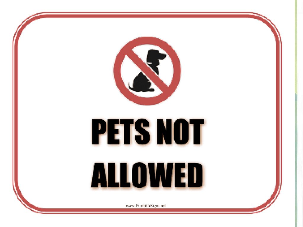 I m allowed. Not allowed. Not allowed sign. Allow картинка. Pets not allowed знак на белом фоне.