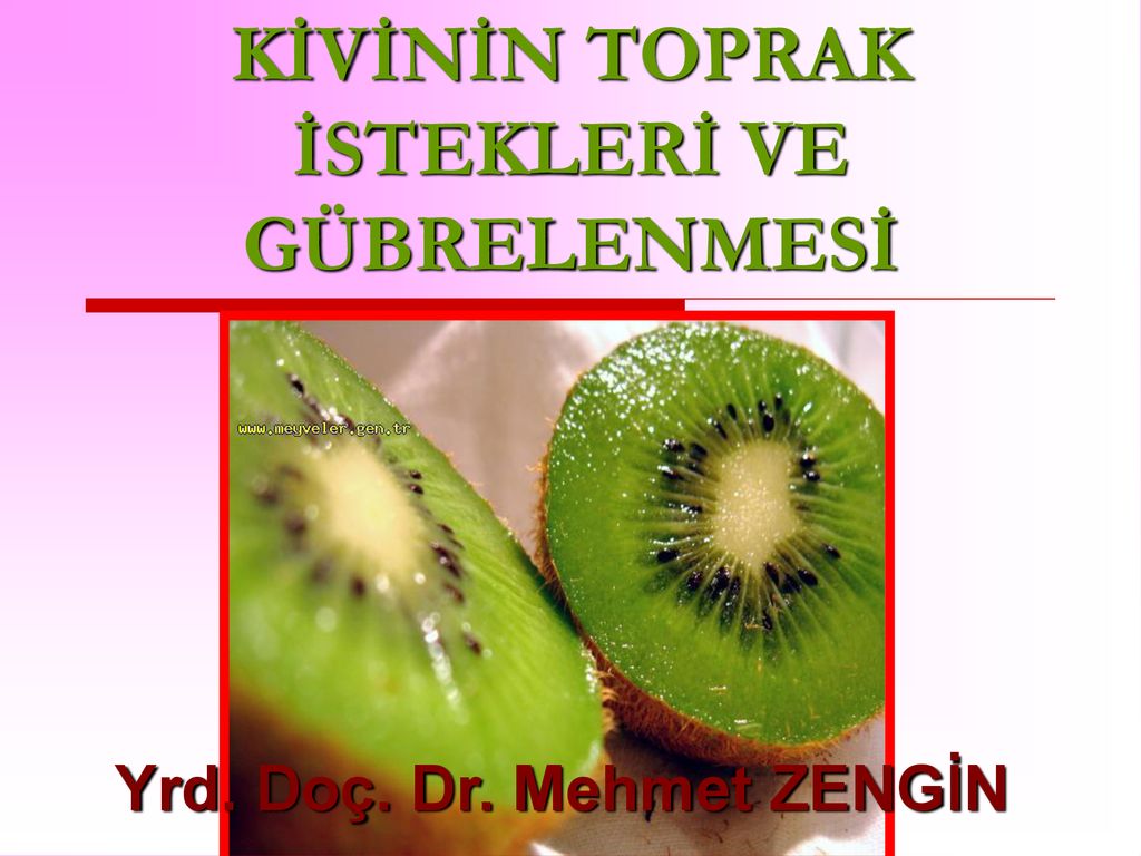 Kivinin Toprak Istekleri Ve Gubrelenmesi Ppt Indir