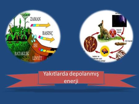 Yakıtlar nelerdir ve nasıl oluşur?