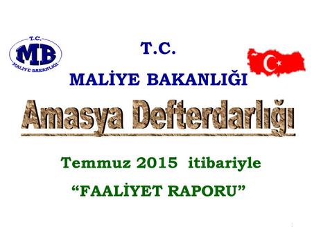 1 T.C. MALİYE BAKANLIĞI Temmuz 2015 itibariyle “FAALİYET RAPORU”