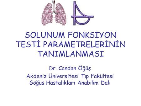 SOLUNUM FONKSİYON TESTİ PARAMETRELERİNİN TANIMLANMASI