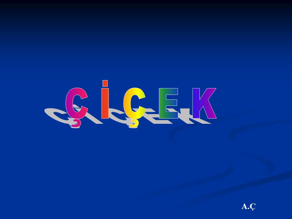 C I C E K A C Ppt Video Online Indir