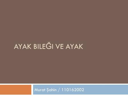 Ayak Bileği Ve Ayak Murat Şahin / 110162002.