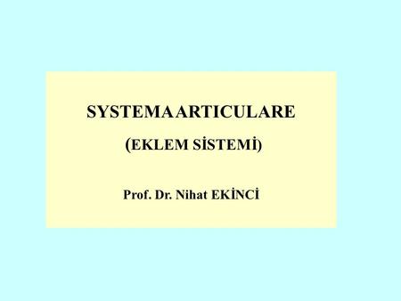 SYSTEMA ARTICULARE (EKLEM SİSTEMİ)   Prof. Dr. Nihat EKİNCİ.