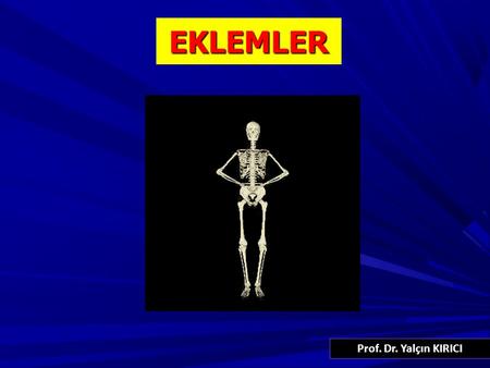 EKLEMLER 1 Prof. Dr. Yalçın KIRICI.