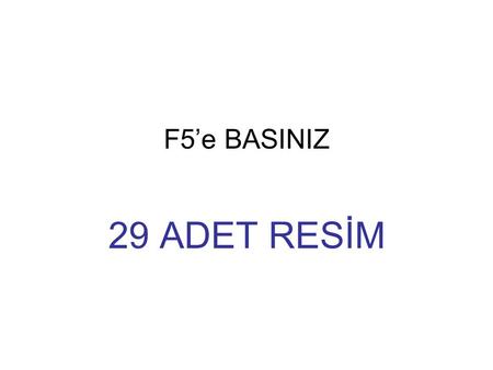 F5’e BASINIZ 29 ADET RESİM. Arena S.K a31 33 GÜNEŞ S.K.