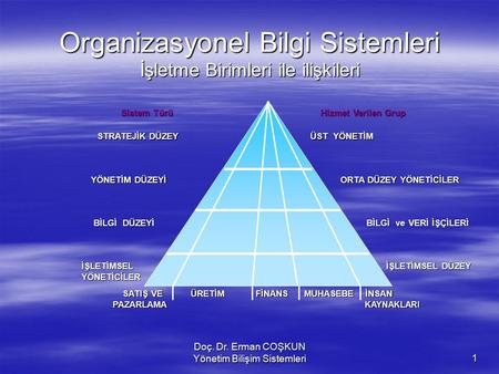 Bilişim sistemlerinin türleri