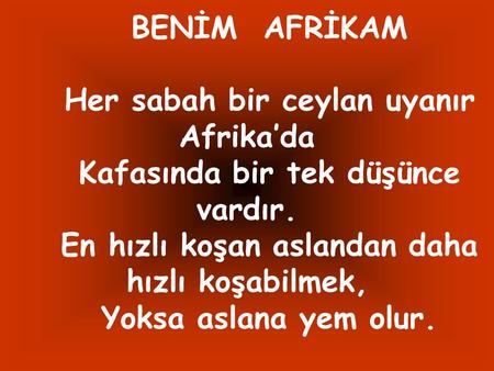 BENİM AFRİKAM Yoksa aslana yem olur.