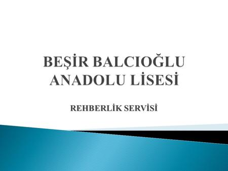 REHBERLİK SERVİSİ Haftalık ders çizelgelerinde ortak dersler, alan/dal dersleri (mesleki ve teknik ortaöğretim okulları) ve seçmeli dersler bölümleri.