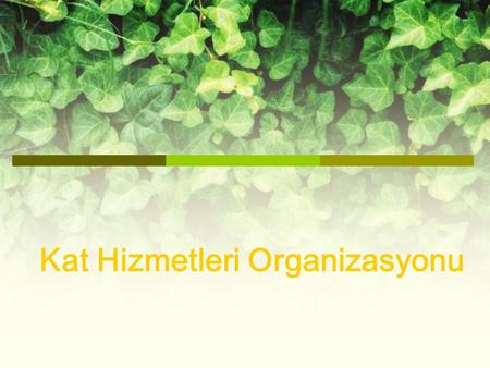 Kat Hizmetleri Organizasyonu