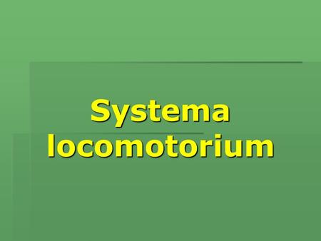 Systema locomotorium.