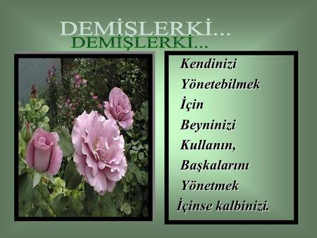 DEMİŞLERKİ... Kendinizi Yönetebilmek İçin Beyninizi Kullanın,