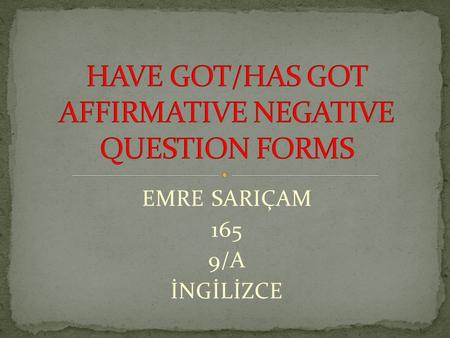 HAVE GOT/HAS GOT AFFIRMATIVE NEGATIVE QUESTION FORMS