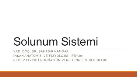 Solunum Sistemi Yrd. Doç. Dr. Bahadır Namdar