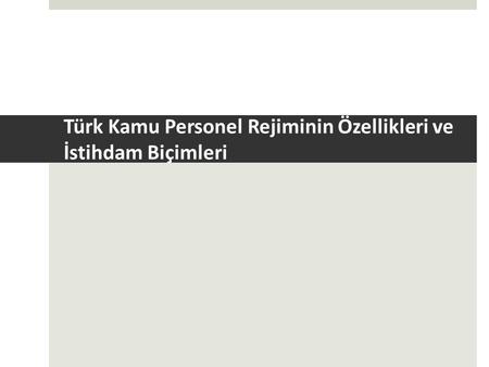 Türk Kamu Personel Rejiminin Özellikleri ve İstihdam Biçimleri