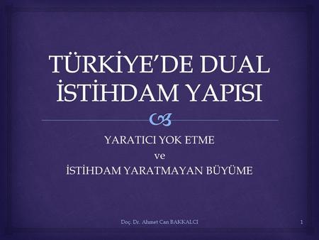 TÜRKİYE’DE DUAL İSTİHDAM YAPISI