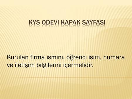 Kurulan firma ismini, öğrenci isim, numara ve iletişim bilgilerini içermelidir.