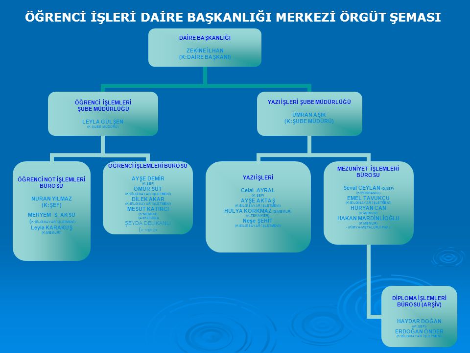 ogrenci isleri daire baskanligi merkezi orgut semasi ppt indir