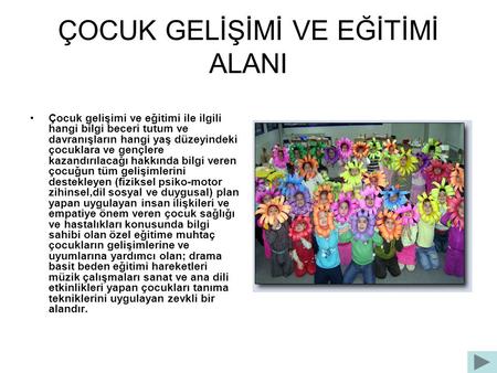 ÇOCUK GELİŞİMİ VE EĞİTİMİ ALANI