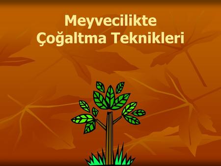 Meyvecilikte Çoğaltma Teknikleri