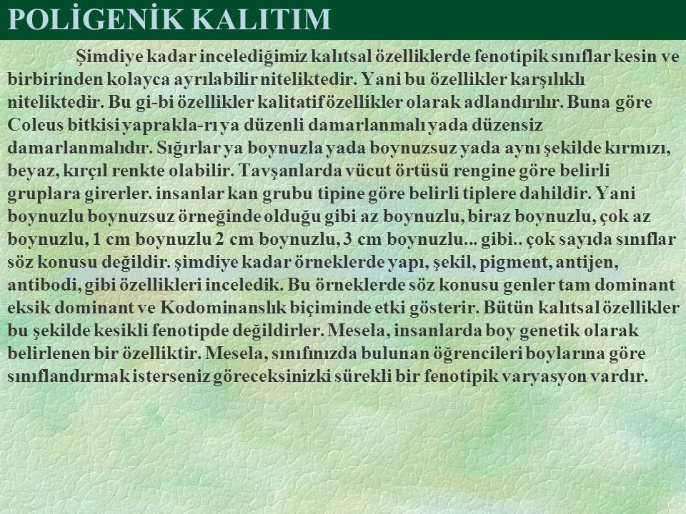 Poligenik Kalitim Simdiye Kadar Inceledigimiz Kalitsal Ozelliklerde Fenotipik Siniflar Kesin Ve Birbirinden Kolayca Ayrilabilir Niteliktedir Yani Bu Ozellikler Ppt Indir