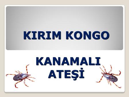 KIRIM KONGO KANAMALI ATEŞİ. insanlara kenelerin bulaştırdığı bir hastalıktır. Kırım-Kongo Kanamalı Ateşi (KKKA)