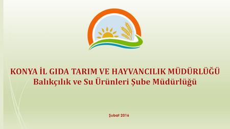 Şubat 2016. SUNUM PLANI 1. Konya Su Ürünleri Varlığı 2. Desteklemeler 3. Faaliyetler 4. Hedefler.