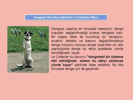 Dengeye Etki eden Faktörler: Le Chatelier İlkesi