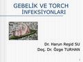 GEBELİK VE TORCH İNFEKSİYONLARI 1 Dr. Harun Reşid SU Doç. Dr. Özge TURHAN.