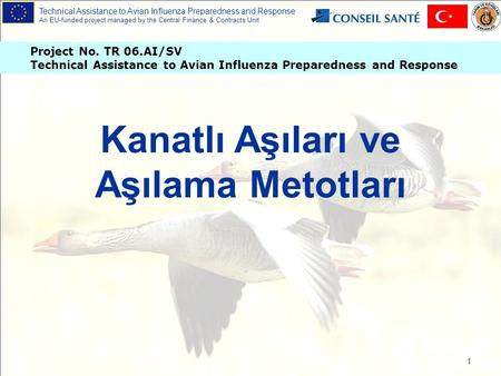 Technical Assistance to Avian Influenza Preparedness and Response An EU-funded project managed by the Central Finance & Contracts Unit Project No. TR 06.AI/SV.