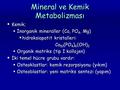 Mineral ve Kemik Metabolizması