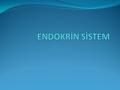endokrin sistem 2hormonal iletişim Kontrol sistemleri Sinir sistemi Sinir sistemi Hızlı, anlık değişim ve yanıtlar Hızlı, anlık değişim ve yanıtlar Endokrin.