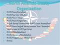 North Atlantic Treaty Organization