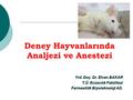 Deney Hayvanlarında Analjezi ve Anestezi