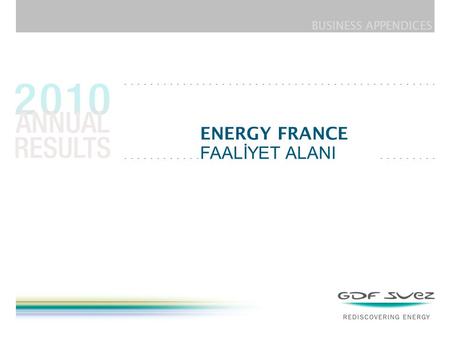 BUSINESS APPENDICES FAALİYET ALANI ENERGY FRANCE.