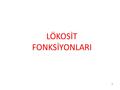 LÖKOSİT FONKSİYONLARI